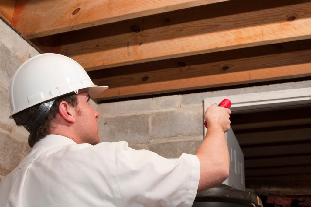 An exterminator or pest control agent looking at eaves in the ceiling of a basement or attic
