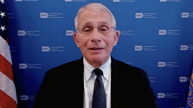Dr. Anthony Fauci appearing on CNN during an interview on April 13, 2022