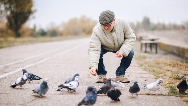 Man feeding pigeons in the old town