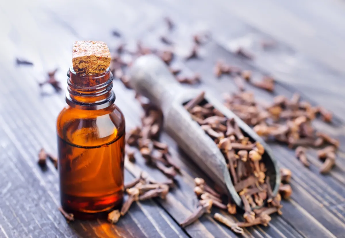 6 Essential Oils You Didn't Know Were Toxic — Best Life