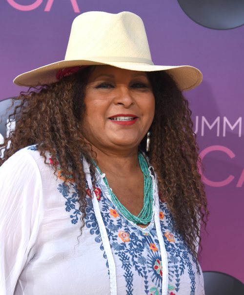 Pam Grier at the ABC Summer TCA All Star Party in 2019