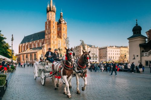 Pferd und Trainer in Krakau Polen