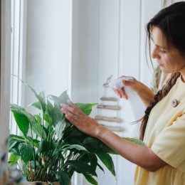 woman spraying plants with spray bottle