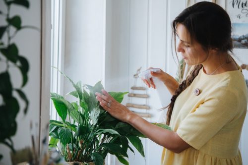 Femeie care pulverizează plante cu o sticlă de pulverizare