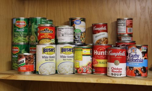 Canned Food Lined Up on a Shelf