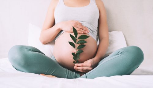 Pregnant Woman Holding A Plant by Her Belly