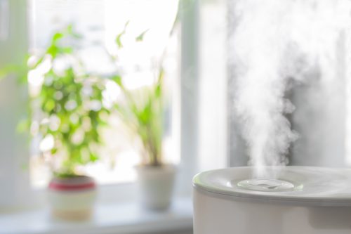 Humidifier with Plants in the Background