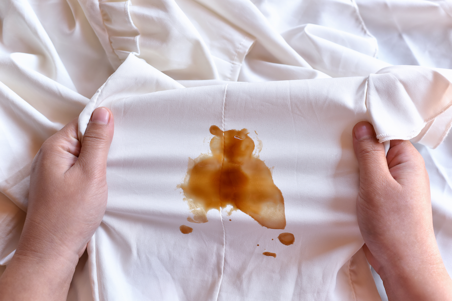 Вывести пятна с шерстяных вещей shutterstock. Выведение пятен с ковров. Obstinate stain. Removing stains. Идеально чистые ковры.