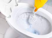 cleaning toilet bowl with toilet brush and gloves