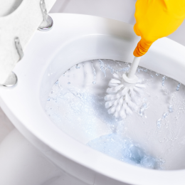 cleaning toilet bowl with toilet brush and gloves