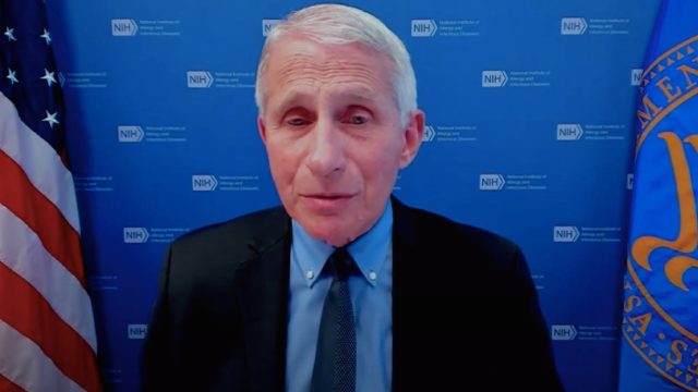Anthony Fauci at the May 18 White House press briefing