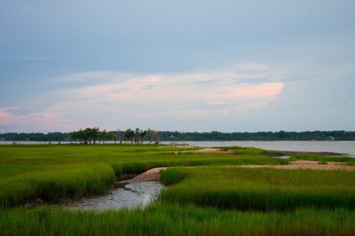 Davosky-Insel in South Carolina