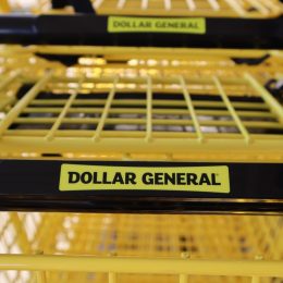dollar general shopping cart