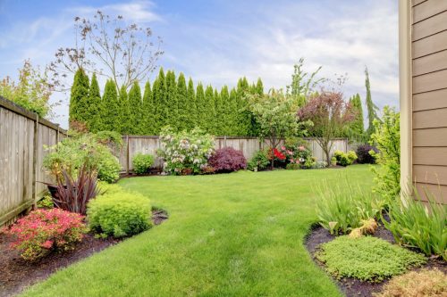 landscaped yard and garden