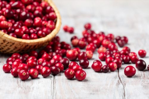 Fresh red cranberries