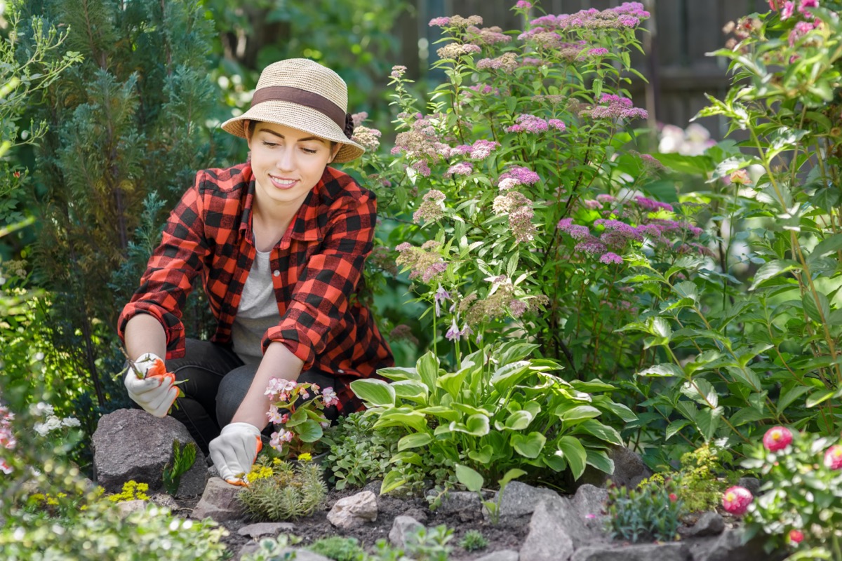 woman taking care of plants in garden