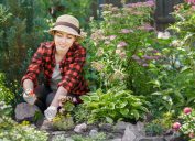 woman taking care of plants in garden