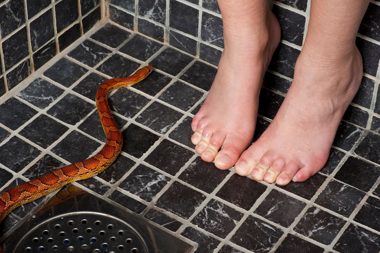 Snake shower on sale