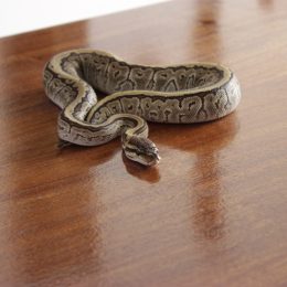 A snake resting on a wooden table in a house