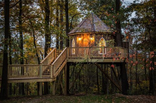 Mohicans Treehouse din Ohio