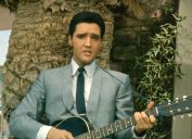 Elvis cầm cây đàn guitar trước cây cọ vào khoảng năm 1965