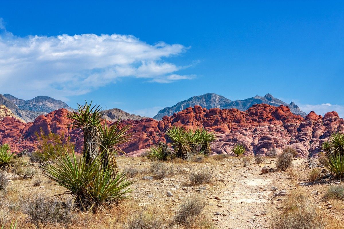 The 10 Best U.S. Cities for Hiking, Says New Study — Best Life