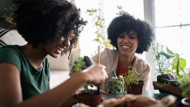 Mother and daughter taking care of plants together at home picture id1327611635