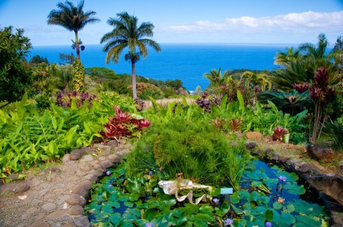 Garden of Eden in Maui