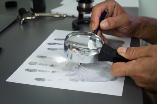 Forensic Expert Studying Fingerprints