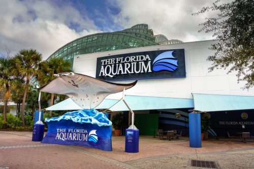 Florida-Aquarium in Tampa