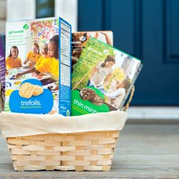assortment of girl scout cookies in basket