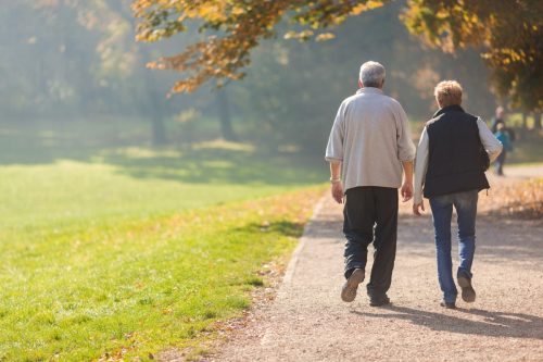 senior citizen couple walking in park
