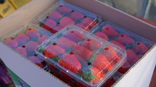 strawberry packages
