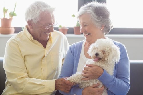 elderly couple holding a dog