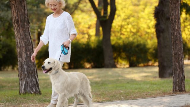 senior woman walking dog