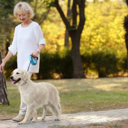 senior woman walking dog