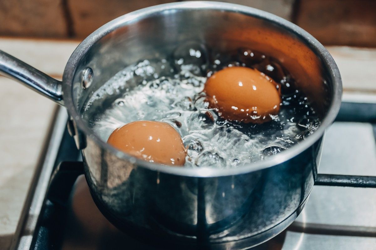 if-your-plants-are-dying-hard-boiled-egg-water-could-save-them-best-life