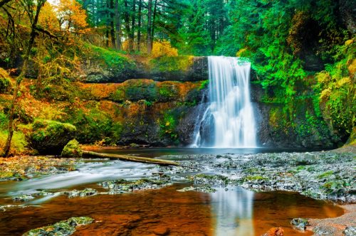 Parcul de stat Silver Falls din Oregon