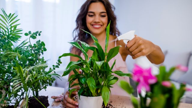 young woman watering a plant