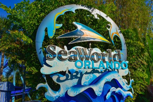 Sea World in Orlando