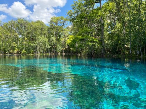 silver springs state park in florida