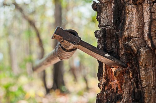 axe in tree