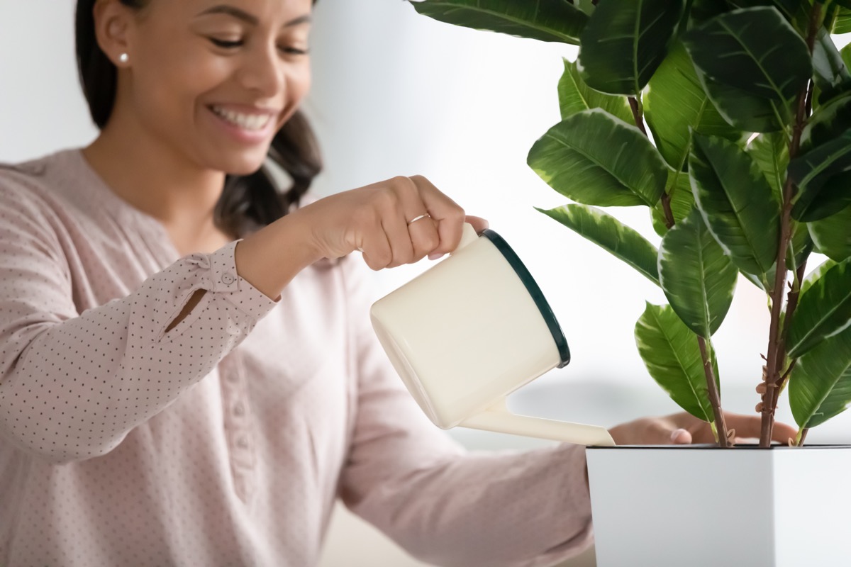 Smiling woman holding a pot watering green plant at home