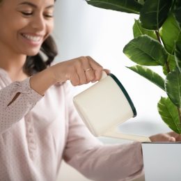Smiling woman holding a pot watering green plant at home