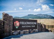 An entrance sign to Yellowstone National Park with mountains in the background