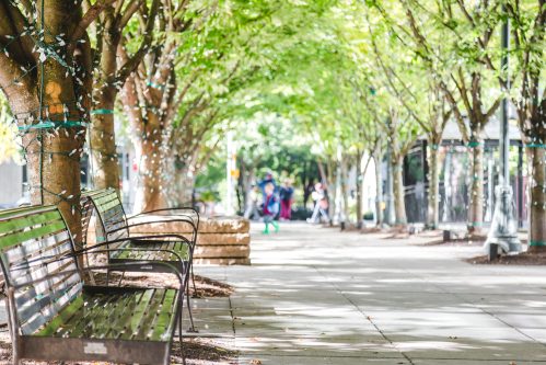 benches in the pearl district, portland, or