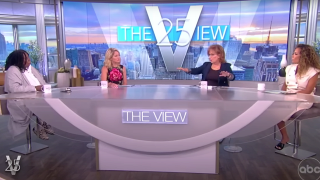 the view host panel