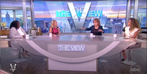 the view host panel