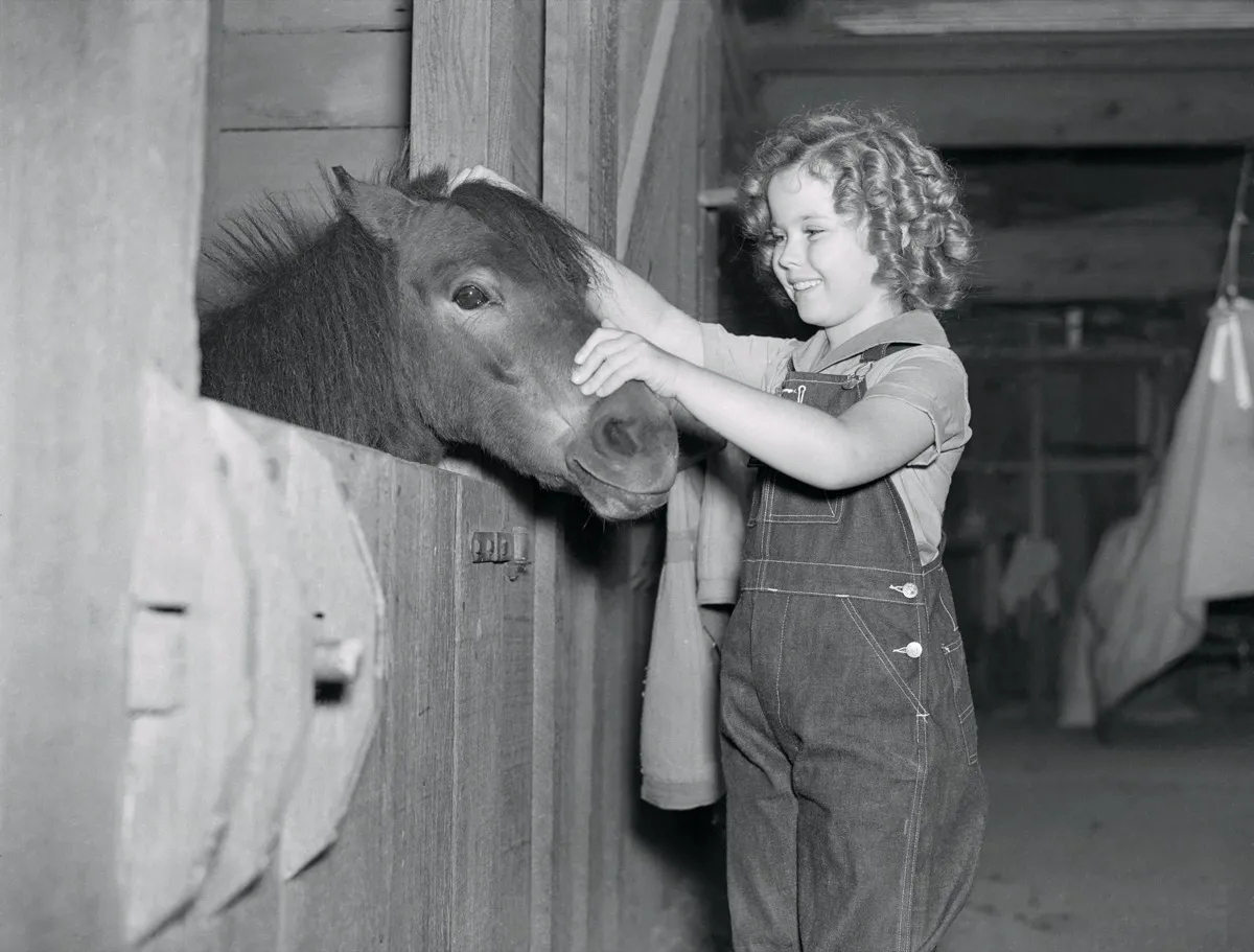 Shirley Temple with pony in 1938