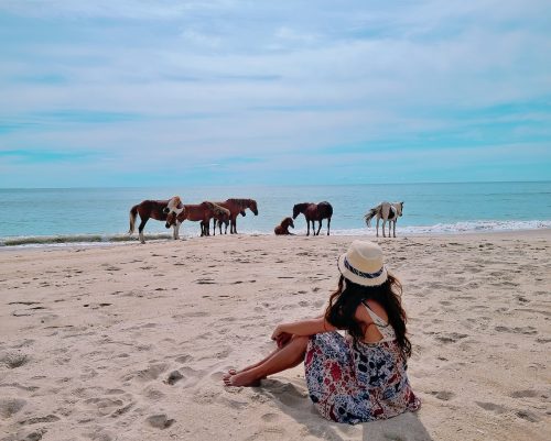A girl sitting and watching the wild horses walk along the water at Assateague Island National Seashore in Maryland. 